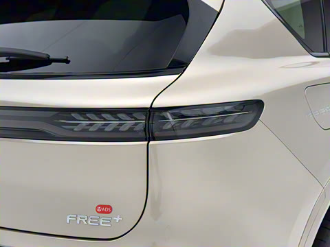 2025�� FREE+ ����Ǭ����