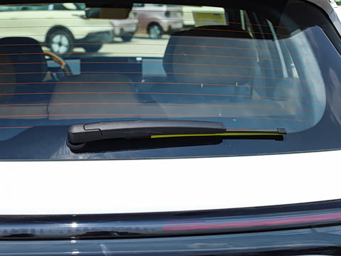 2025�� 55km ������