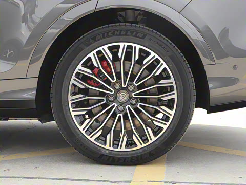 2025�� FREE+ ����Ǭ����