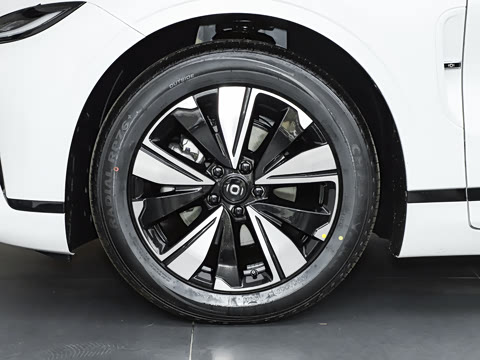 2025�� ��������� 515�����