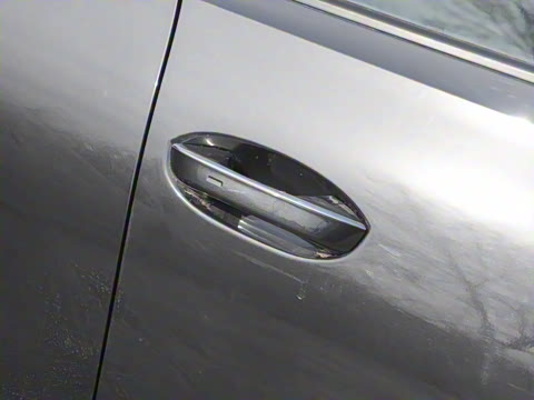 2025�� 530TSI �����콢ʤ��Pro ������ 6��