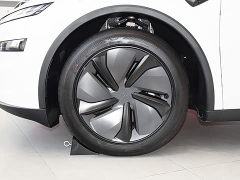 2025�� ����������