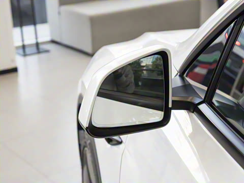 2025�� ����������