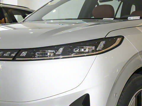 2025�� 636Max���Ȱ� 6��