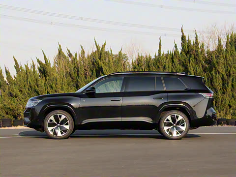 2025�� ;�� Pro 450TSI �����Ƿ��