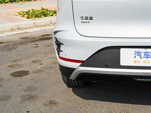 2025�� �Ǽݰ� DM-i 115KM �����