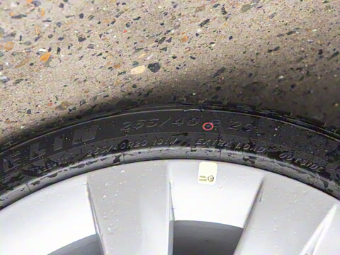 2025�� ����������