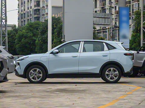 2025�� 565km ������