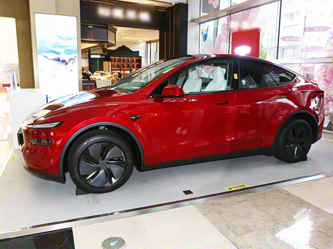 2025�� ����������