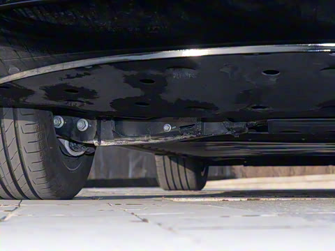 2025�� 550��ѡ��