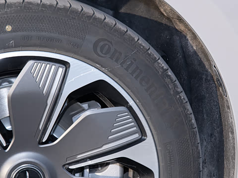 2025�� 550��ѡ��