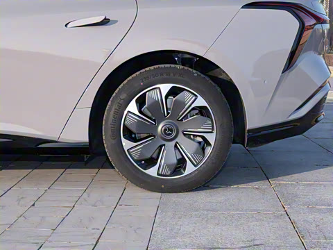 2025�� 550��ѡ��