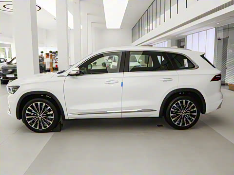 2025�� ������ 2.0TD �Զ��񳯰�