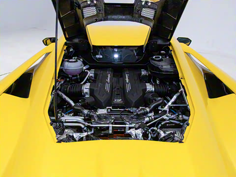 2025�� ������