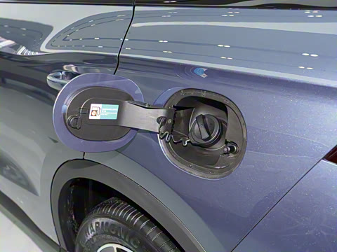 2025�� �ڶ��� �Ǽݰ� DM-i 115KM��Խ��