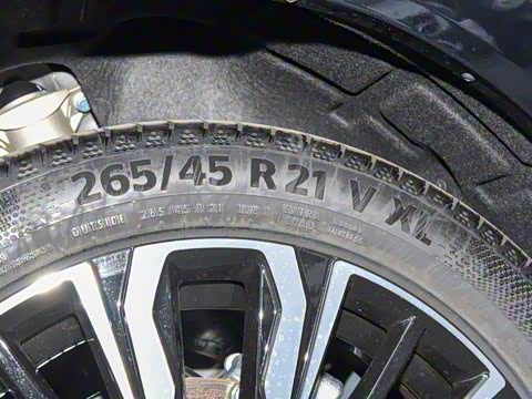 2026�� �������̼�����