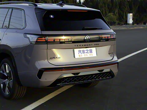 2025�� ;�� Pro 450TSI �����Ƿ��