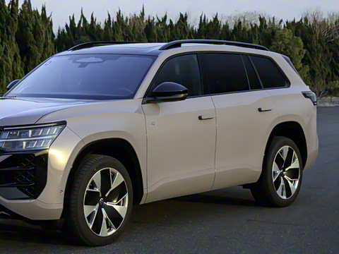 2025�� ;�� Pro 450TSI �����Ƿ��