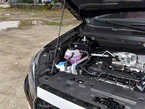 2025�� 1.5T �ֶ���Խ�� 5��