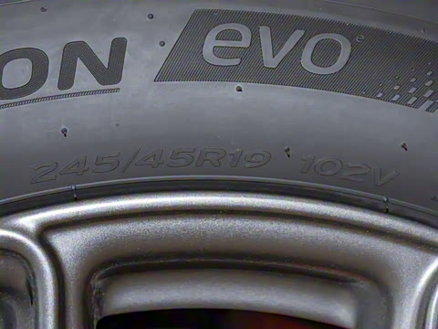 2024�� Max ����������