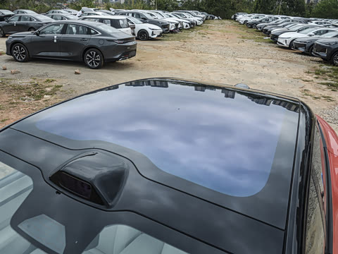 2025�� Max�����