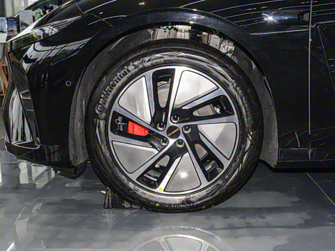 2025�� ���� Max ����������ʻ