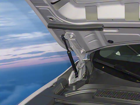 2025�� 725 �������� Max �콢��