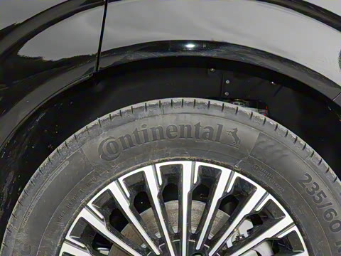 2025�� EV ��������