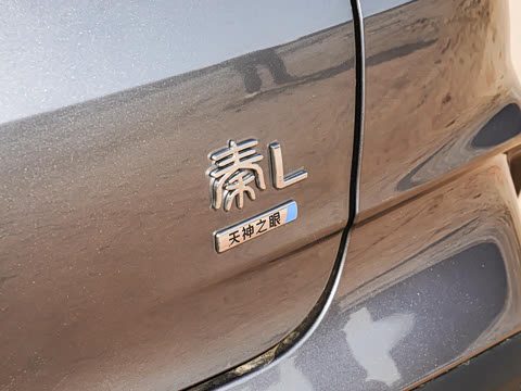 2025�� DM-i �Ǽݰ� 80KM������