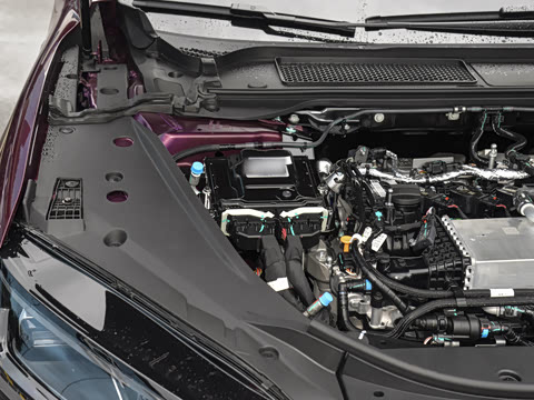 2025�� 260������������