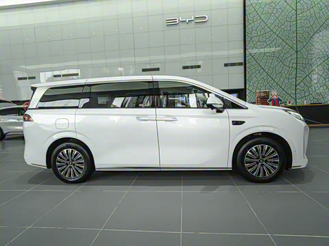 2025�� DM-i 1.5T 100km ��Խ��