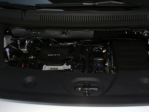 2025�� DM-i 1.5T 180km ��Խ��