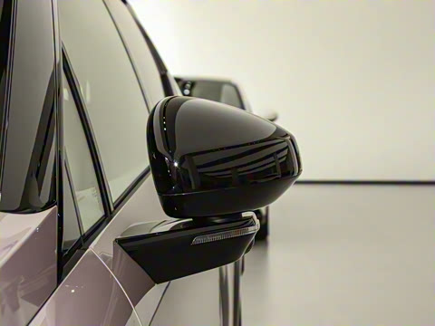 2025�� ������������