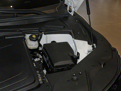 2024�� ���������������