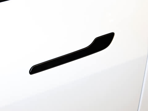 2025�� �������� �׷���