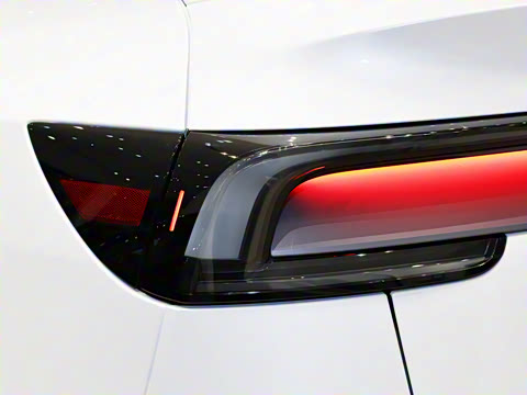 2025�� �������� �׷���