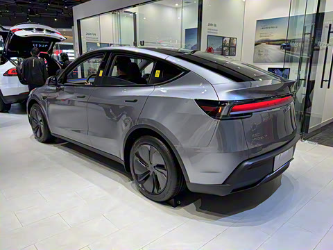 2025�� �������� �׷���