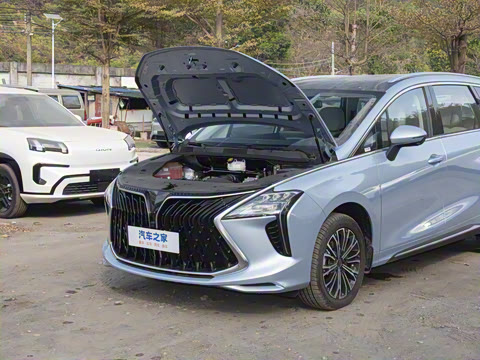 2025�� PHEV ������ 7��