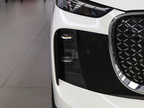 2025�� 290TGDI DCT������ 7��