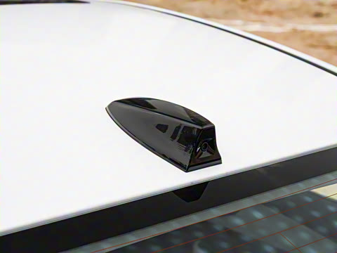 2025�� DM-i �Ǽݰ� 55KM�����