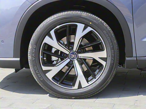 2025�� �ڶ��� �Ǽݰ� DM-i 115KM׿Խ��