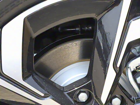 2025�� 205��������������