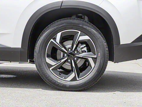 2025�� 205��������������