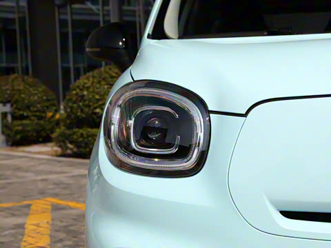 2025�� 310������