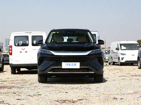 2025�� �ڶ��� DM-i 115KM��Խ��