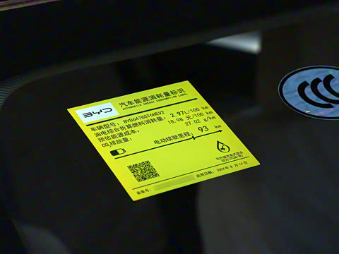 2025�� �ڶ��� DM-i 115KM��Խ��