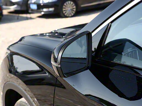 2025�� �ڶ��� DM-i 115KM��Խ��