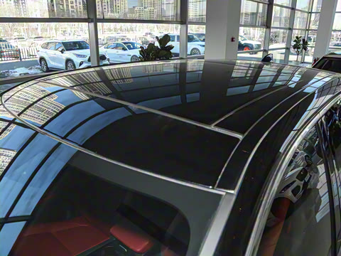 2025�� P250 R-Dynamic S