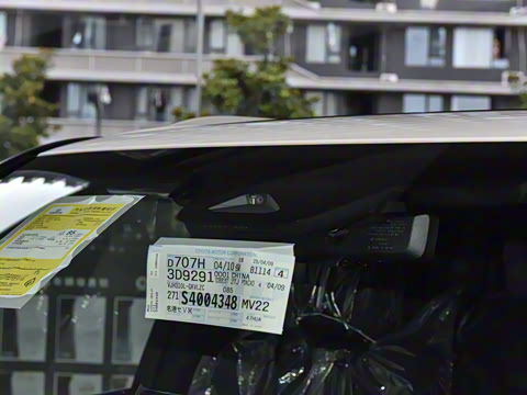 2025�� 700h VIP������