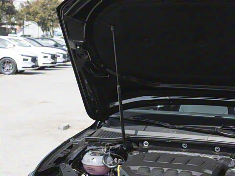 2025�� �Ŀ� ������ 330TSI DSG������